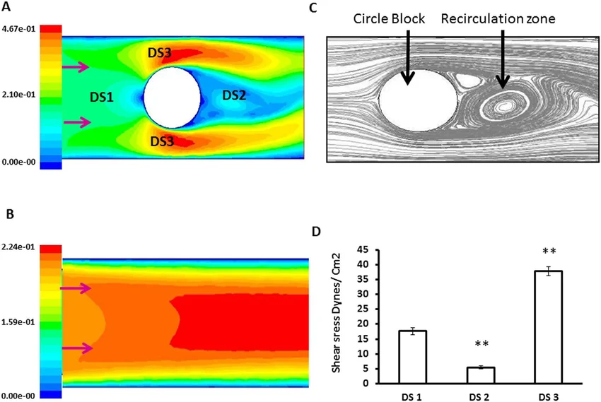 fea shows what happens inside the solid. cfd shows what happens in the fluid around it.